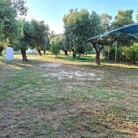 Granny Stratia Σπίτι διακοπών Τορώνη